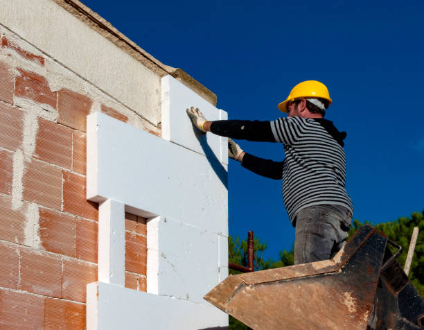 Best Professional Insulation Contractor  in Canton, OH